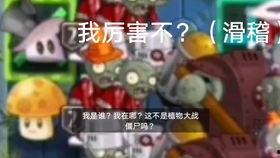 金蟾菇视频,神奇功效与种植技巧大公开