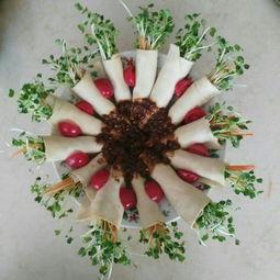 纸上种菜技术视频,轻松实现家庭绿色蔬菜自给自足