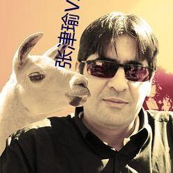 日本高清视频wwwcom,揭秘wwwcom的极致魅力