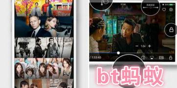 全网视频vip,全网VIP视频资源汇总攻略