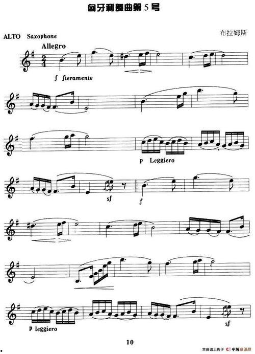 匈牙利五号视频,揭开神秘面纱的奇幻之旅