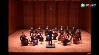 匈牙利五号视频,揭开神秘面纱的奇幻之旅