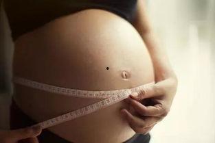 真人女性外生殖视频,真实外生殖视频解析