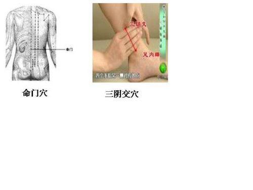 命门的视频,探寻人体奥秘与养生之道