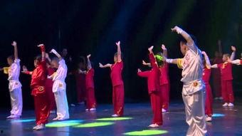 精忠报国武术教学视频,传承国术,弘扬民族精神