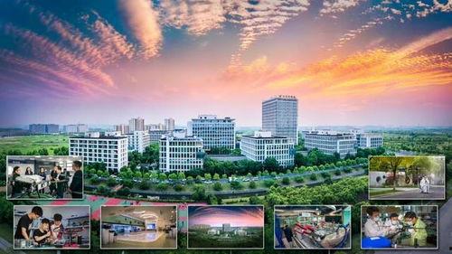 江宁视频,探寻历史与现代交融的江南水乡魅力