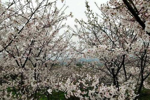 赤水新闻视频,聚焦本土发展,展现赤水风采