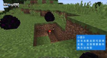 我的世界孵龙蛋视频