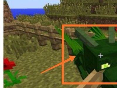 我的世界孵龙蛋视频