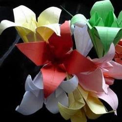 最简单百合花折法视频,简单百合花折法教程