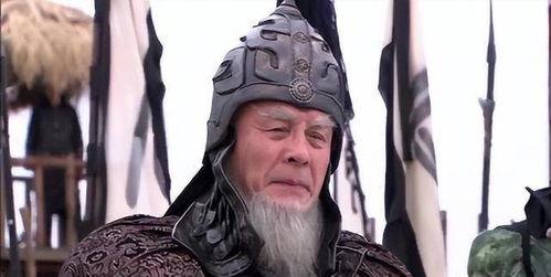 闻太师视频,揭秘古代名将的英勇事迹与智慧谋略