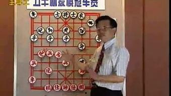胡荣华象棋视频,揭秘大师级棋局策略与技巧