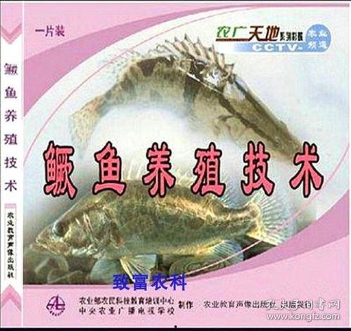 人繁殖的视频教程,揭秘生育奥秘与技巧